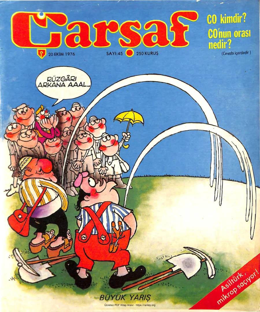 Çarşaf 1976 45 kapak görseli