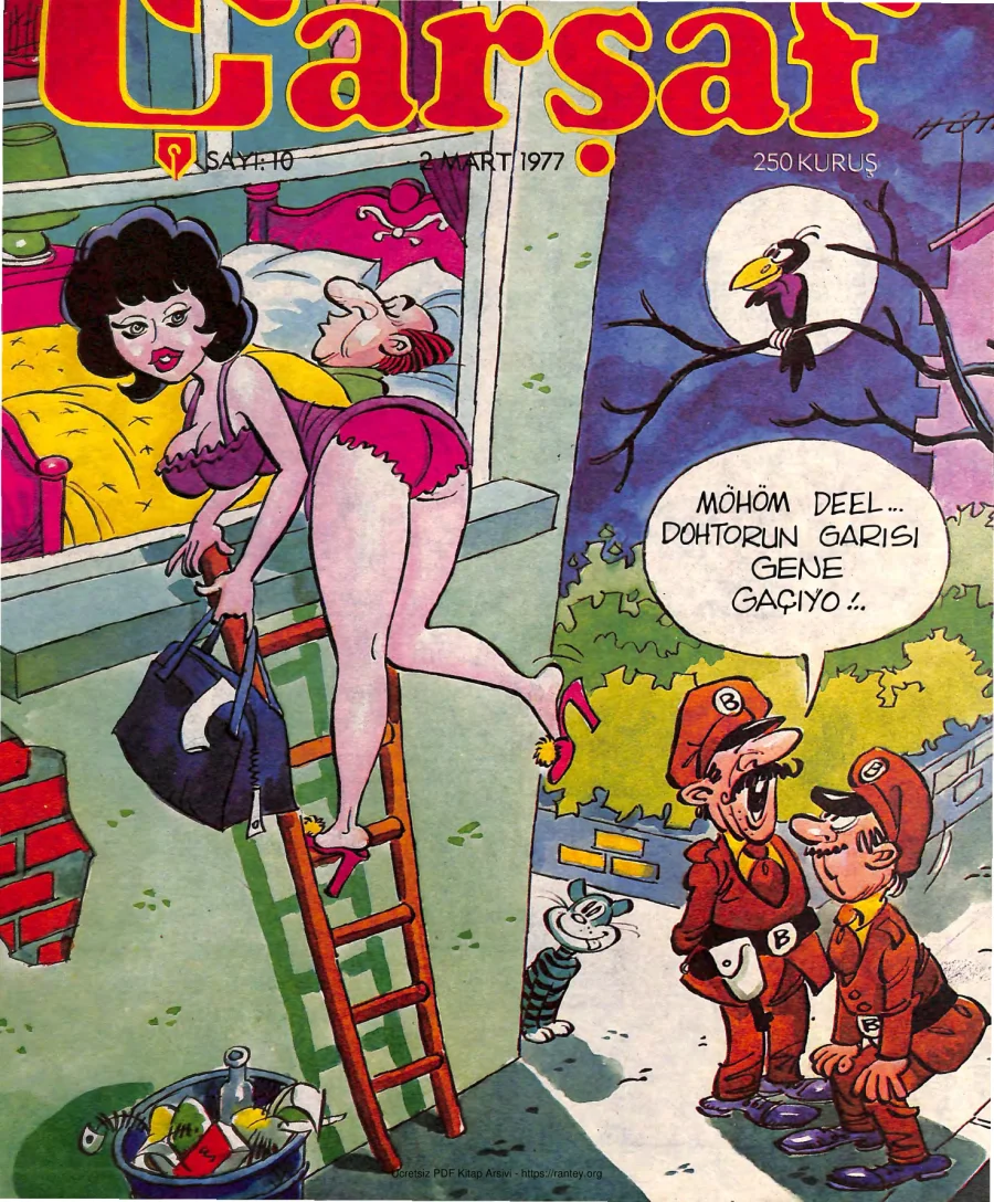 Çarşaf 1977 10 kapak görseli