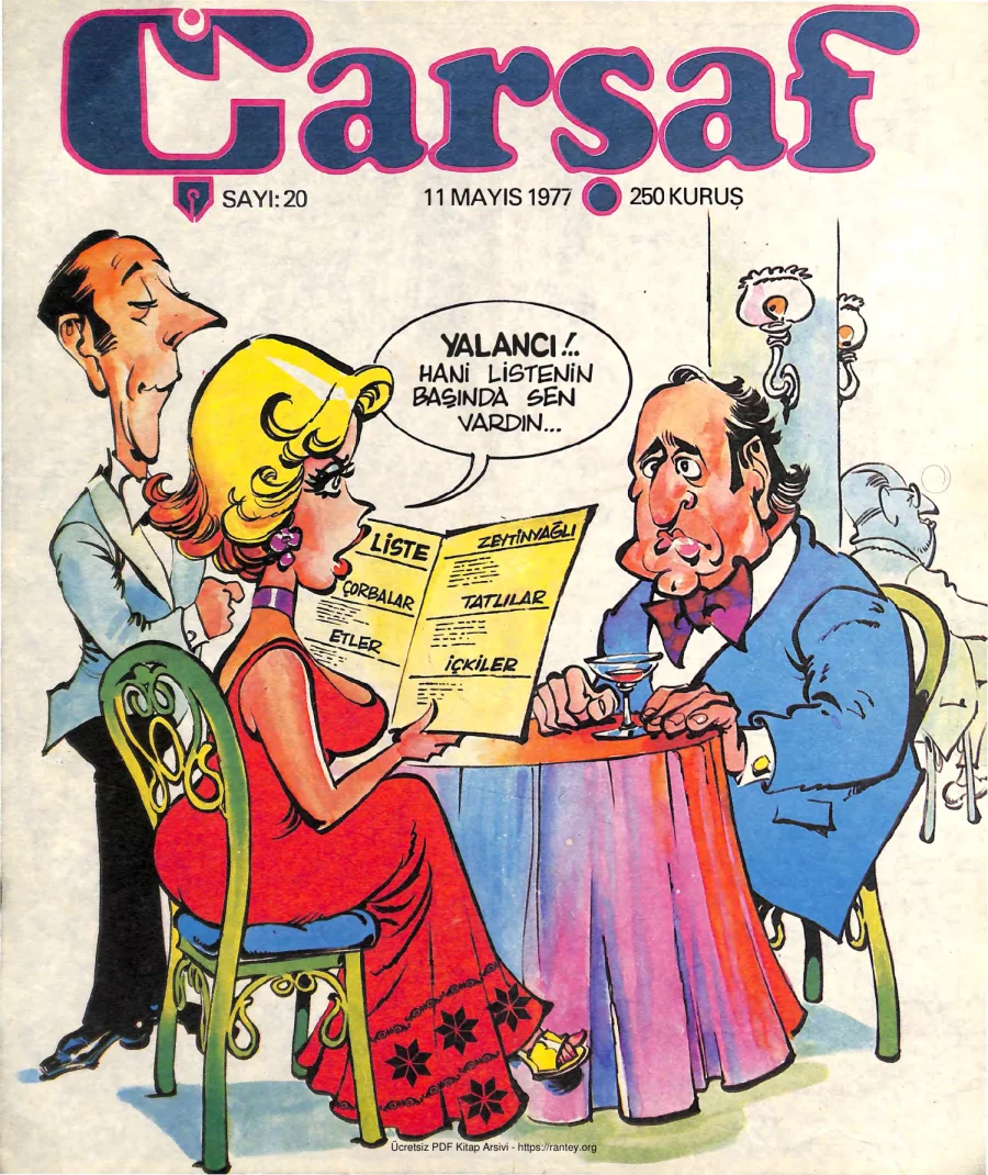 Çarşaf 1977 20 kapak görseli