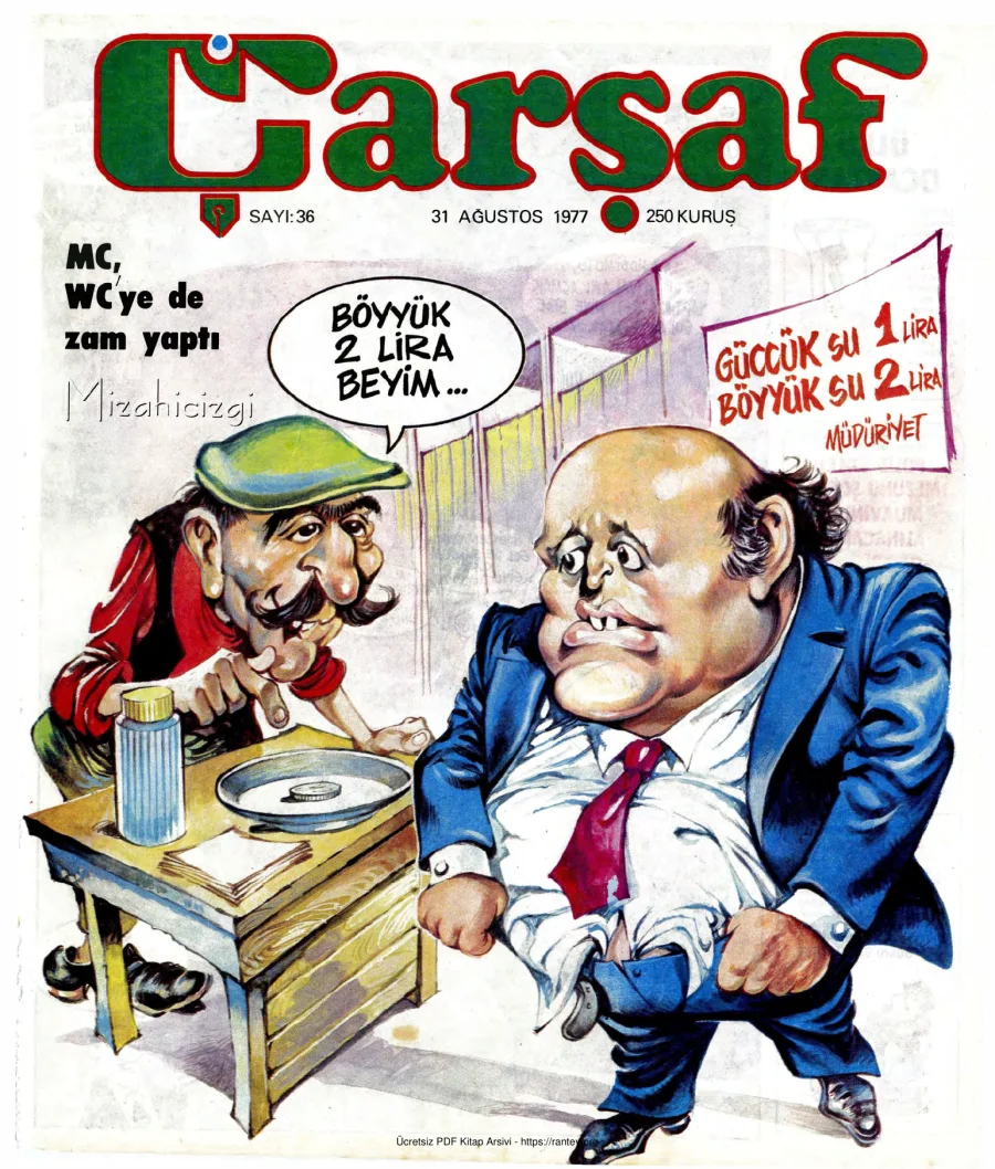 Çarşaf 1977 36 kapak görseli