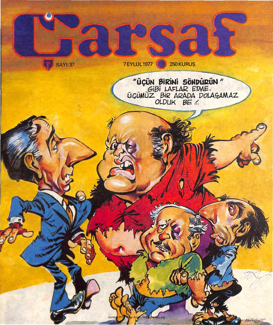 Çarşaf 1977 37 kapak görseli