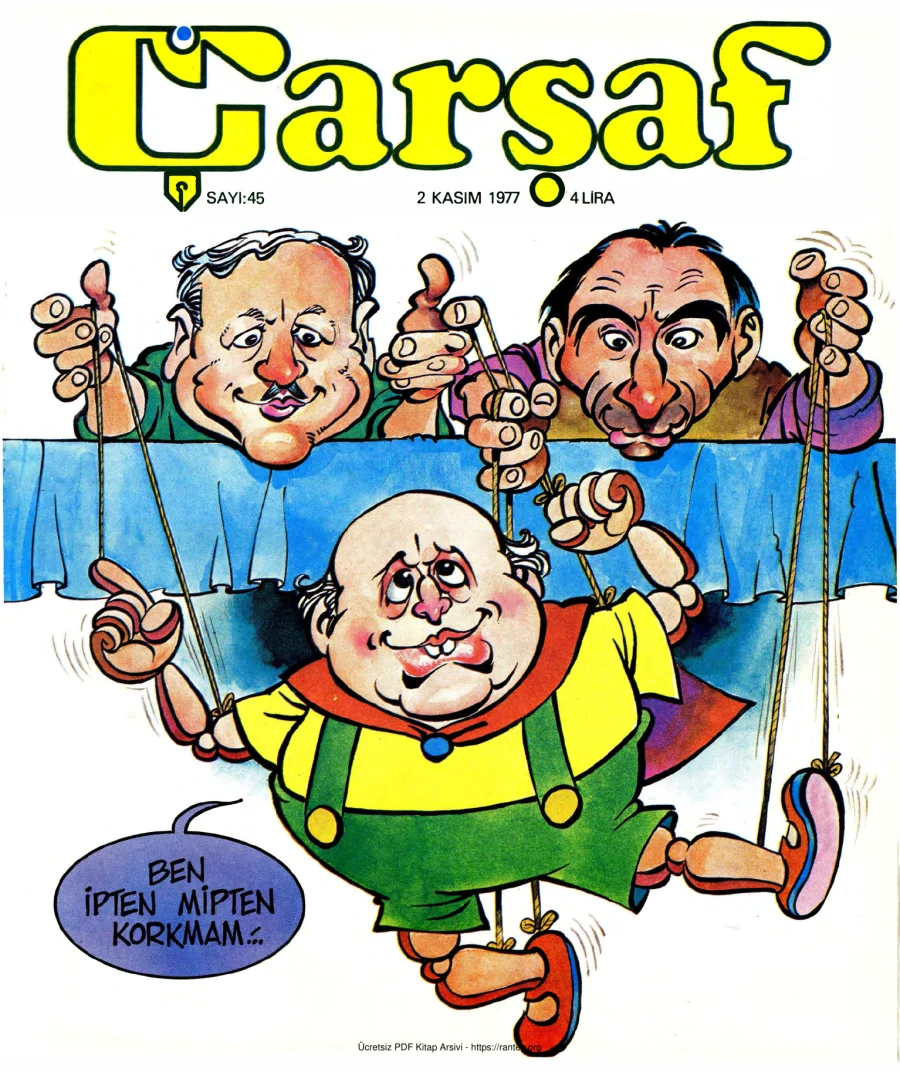 Çarşaf 1977 45 kapak görseli