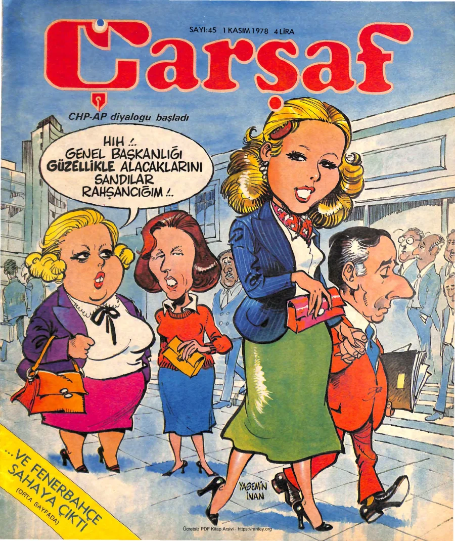 Çarşaf 1978 45 kapak görseli