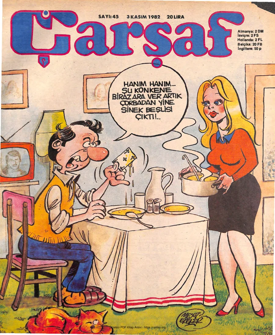 Çarşaf 1982 45 kapak görseli