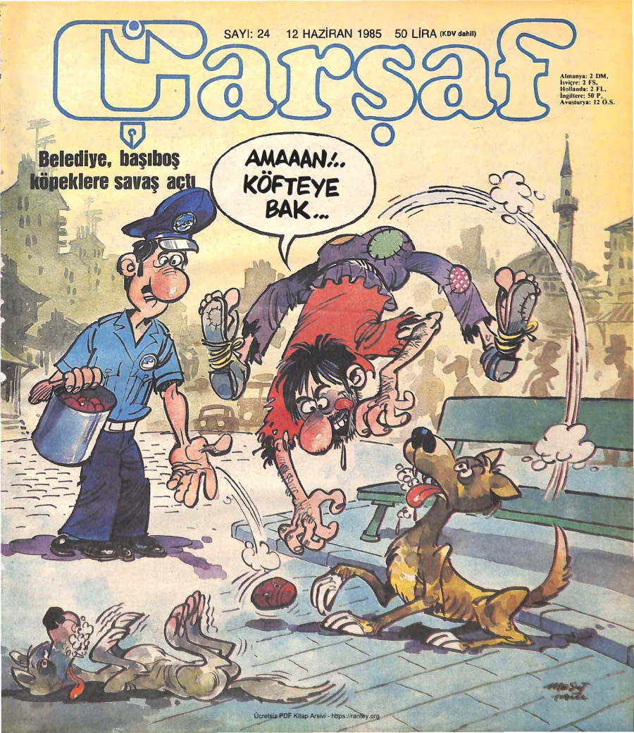 Çarşaf 1985 24 kapak görseli