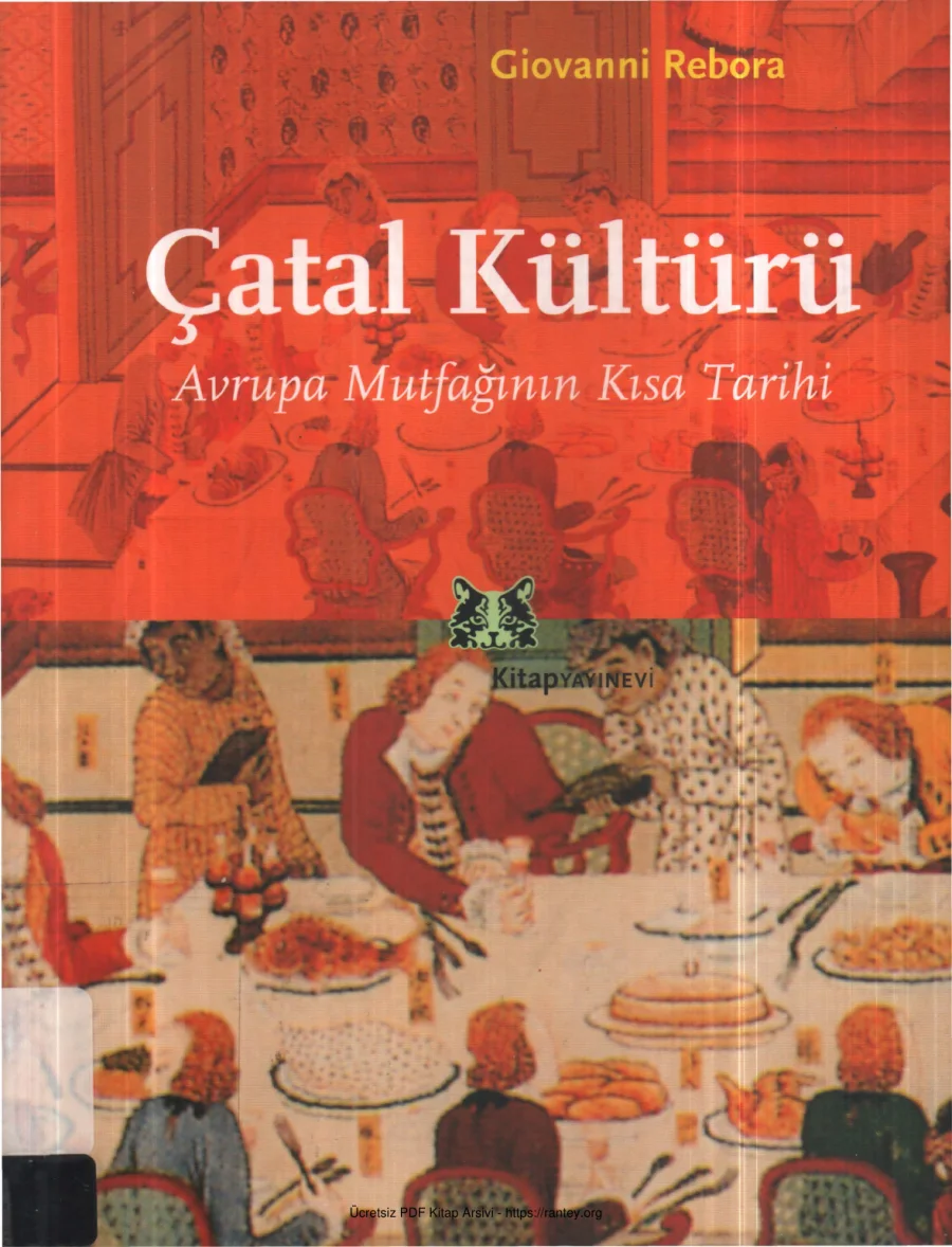 Çatal Kültürü kapak görseli