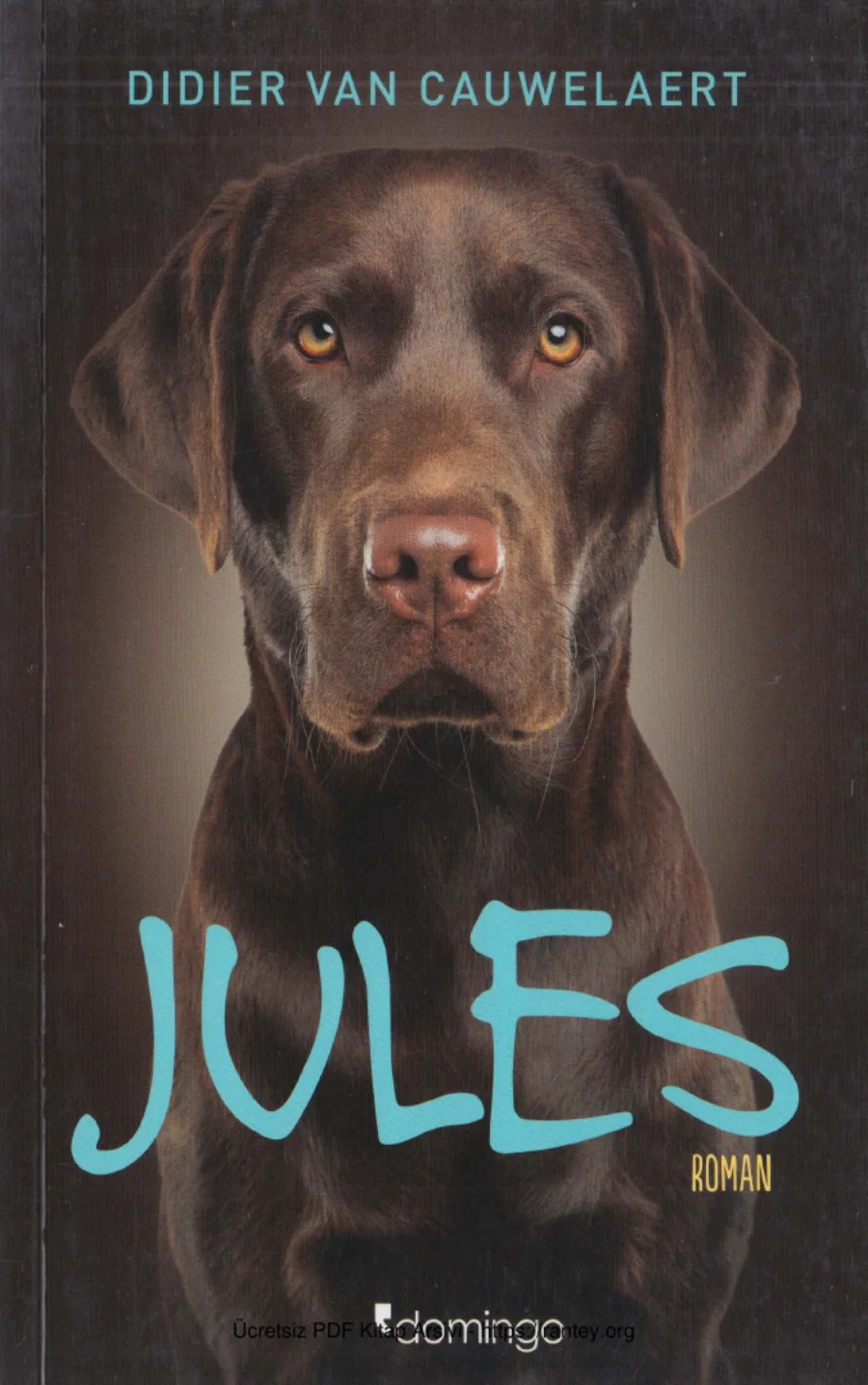Cauwelaert Jules kapak görseli