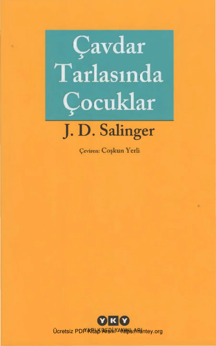 Çavdar Tarlasında Çocuklar kapak görseli