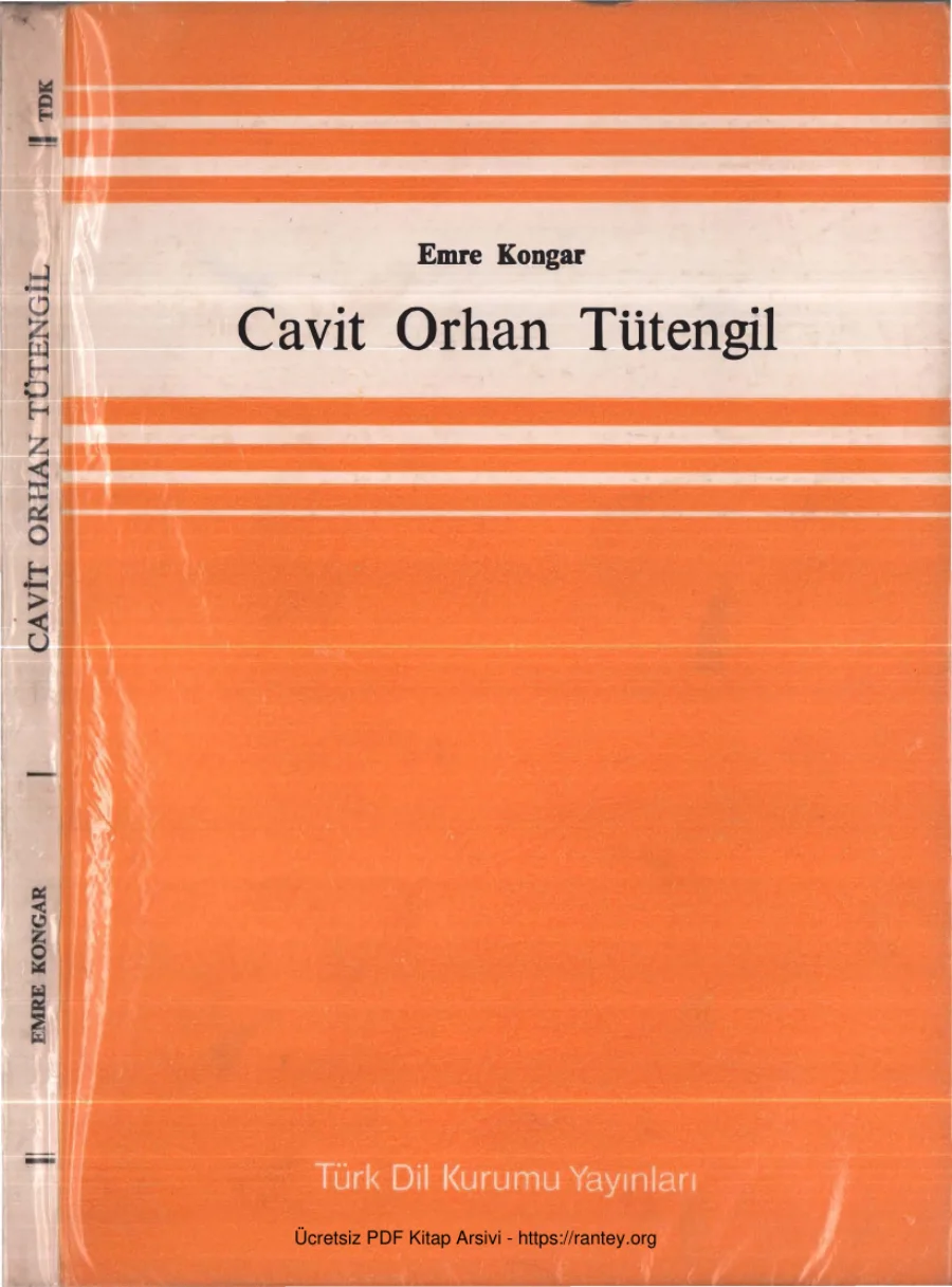 Cavit Orhan Tütengil kapak görseli