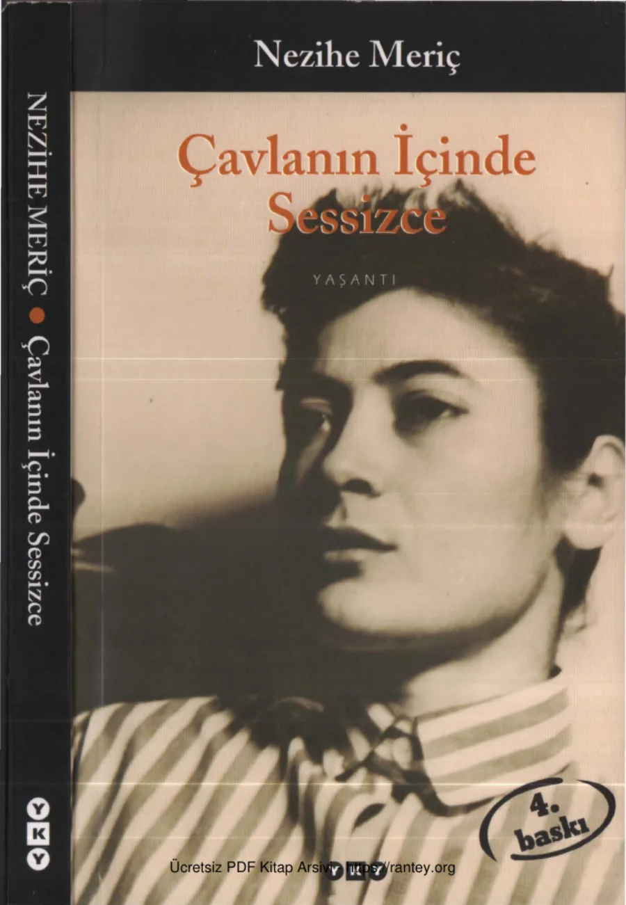 Çavlanın İçinde Sessizce kapak görseli