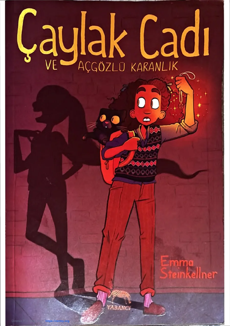 Çaylak Cadı ve Açgözlü Karanlık kapak görseli