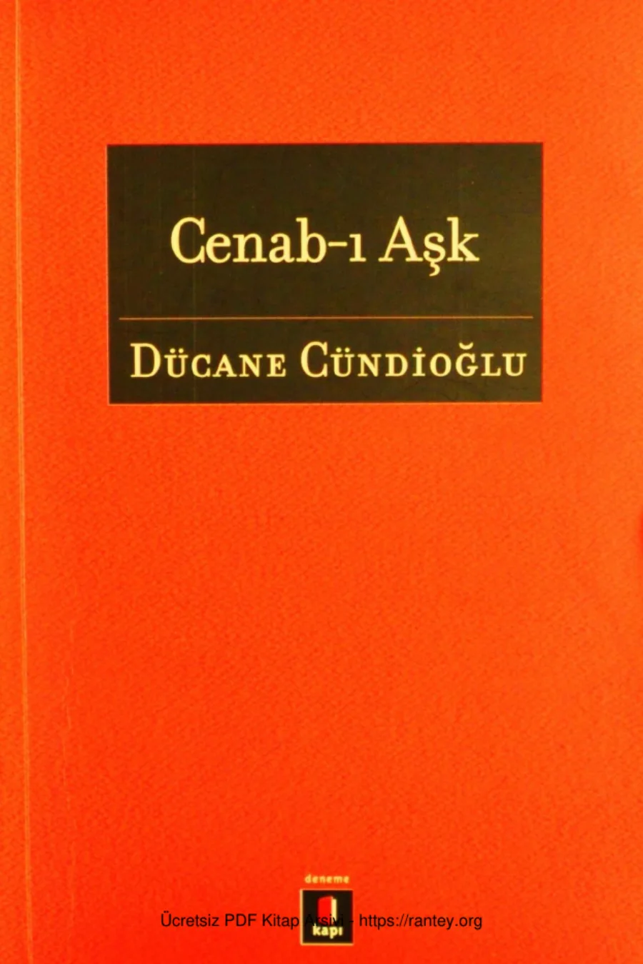 Cenab-ı Aşk kapak görseli