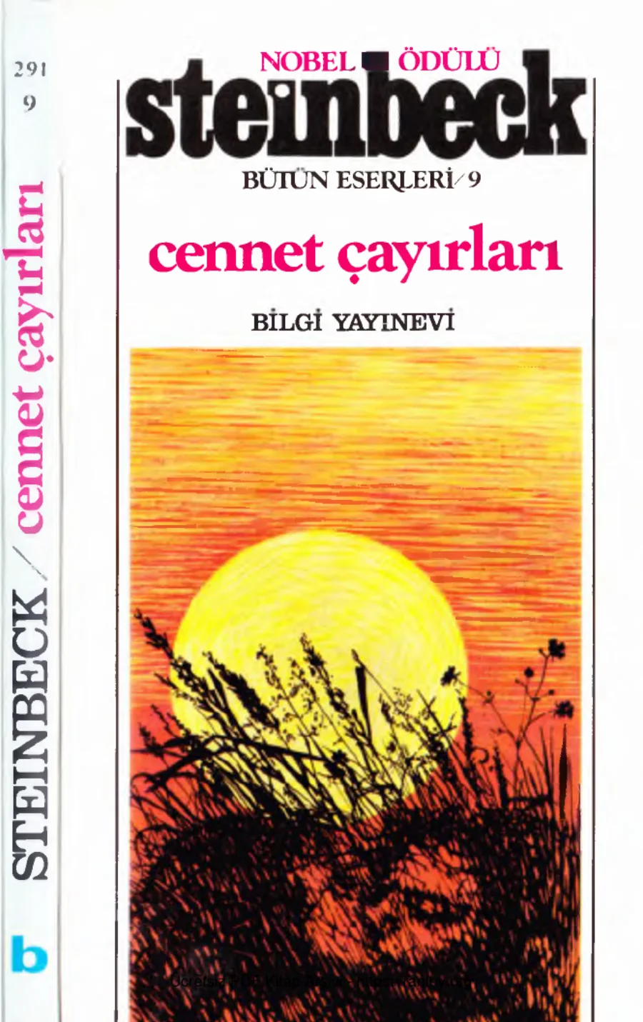 Cennet Çayırları Bilgi Yayınevi kapak görseli