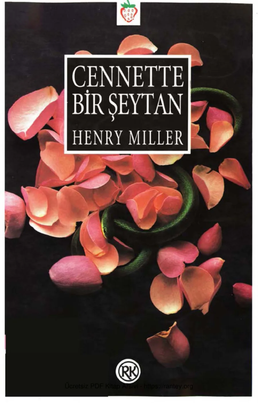 Cennette Bir Şeytan kapak görseli