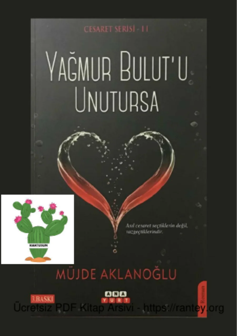 Cesaret 2: Yağmur Bulutu Unutursa kapak görseli