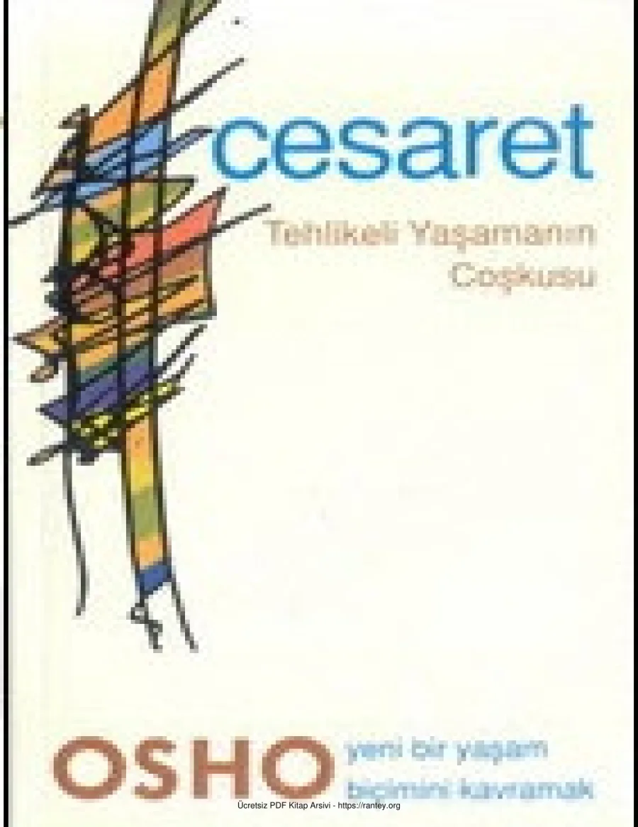 Cesaret Tehlikeli Yaşamanın Coşkusu kapak görseli