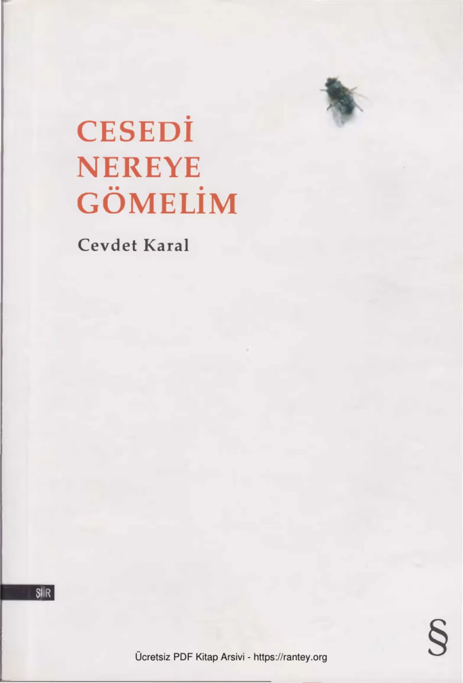 Cesedi Nereye Gömelim kapak görseli