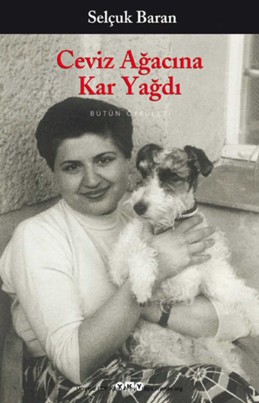 Ceviz Ağacına Kar Yağdı kapak görseli