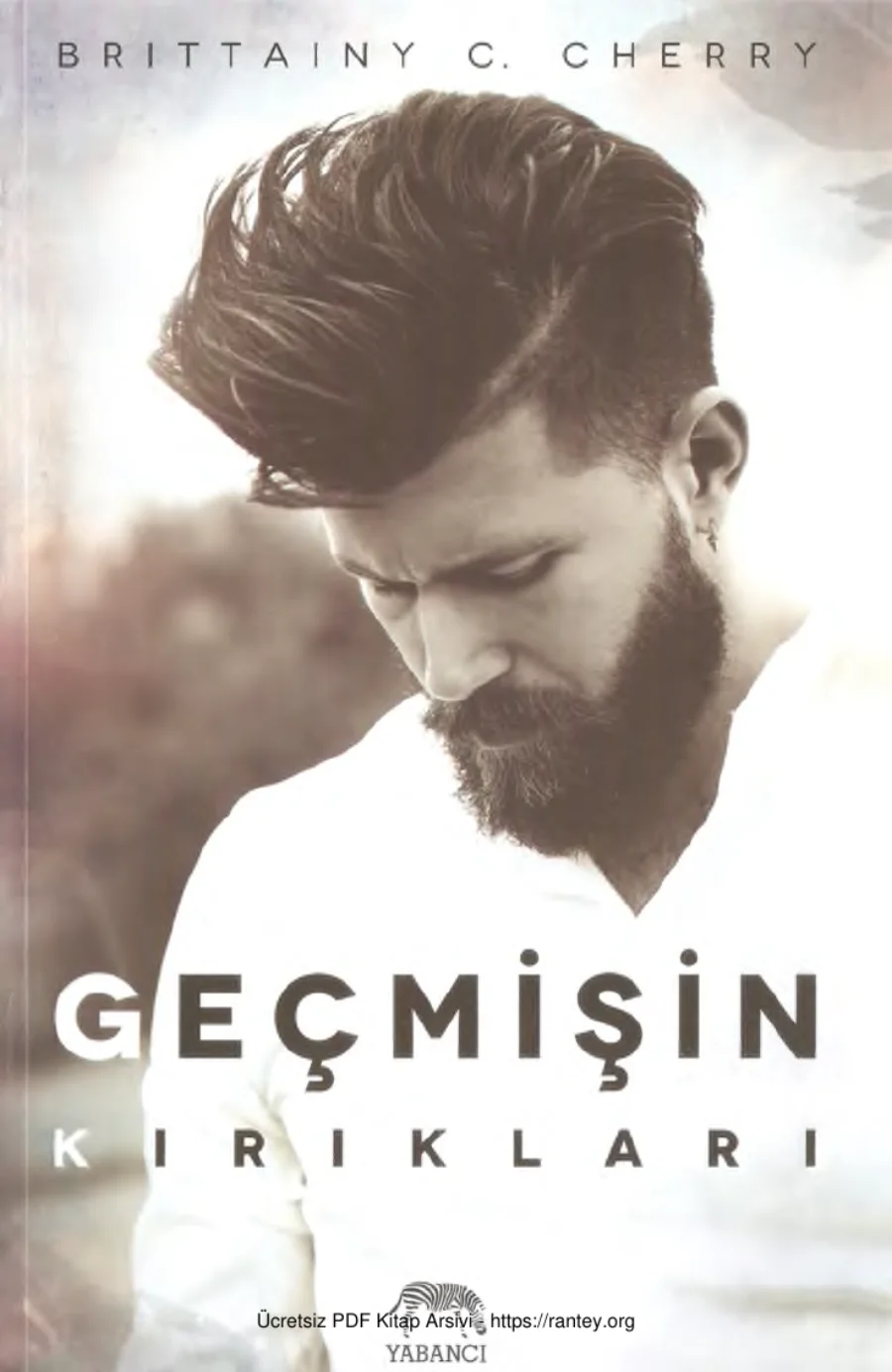 Cherry Geçmişin Kırıkları Elements 1 kapak görseli