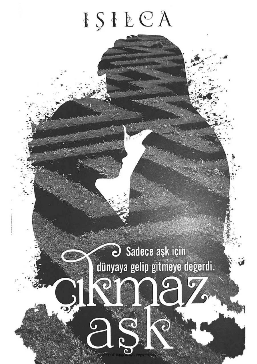 Çıkmaz Aşk kapak görseli