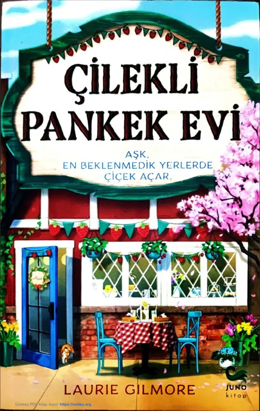 Çilekli Pankek Evi kapak görseli