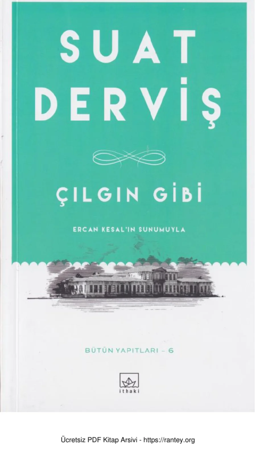 Çılgın Gibi kapak görseli