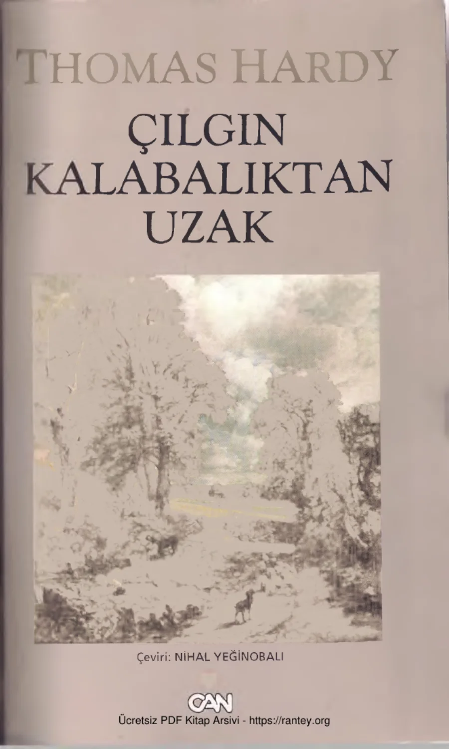 Çılgın Kalabalıktan Uzak kapak görseli