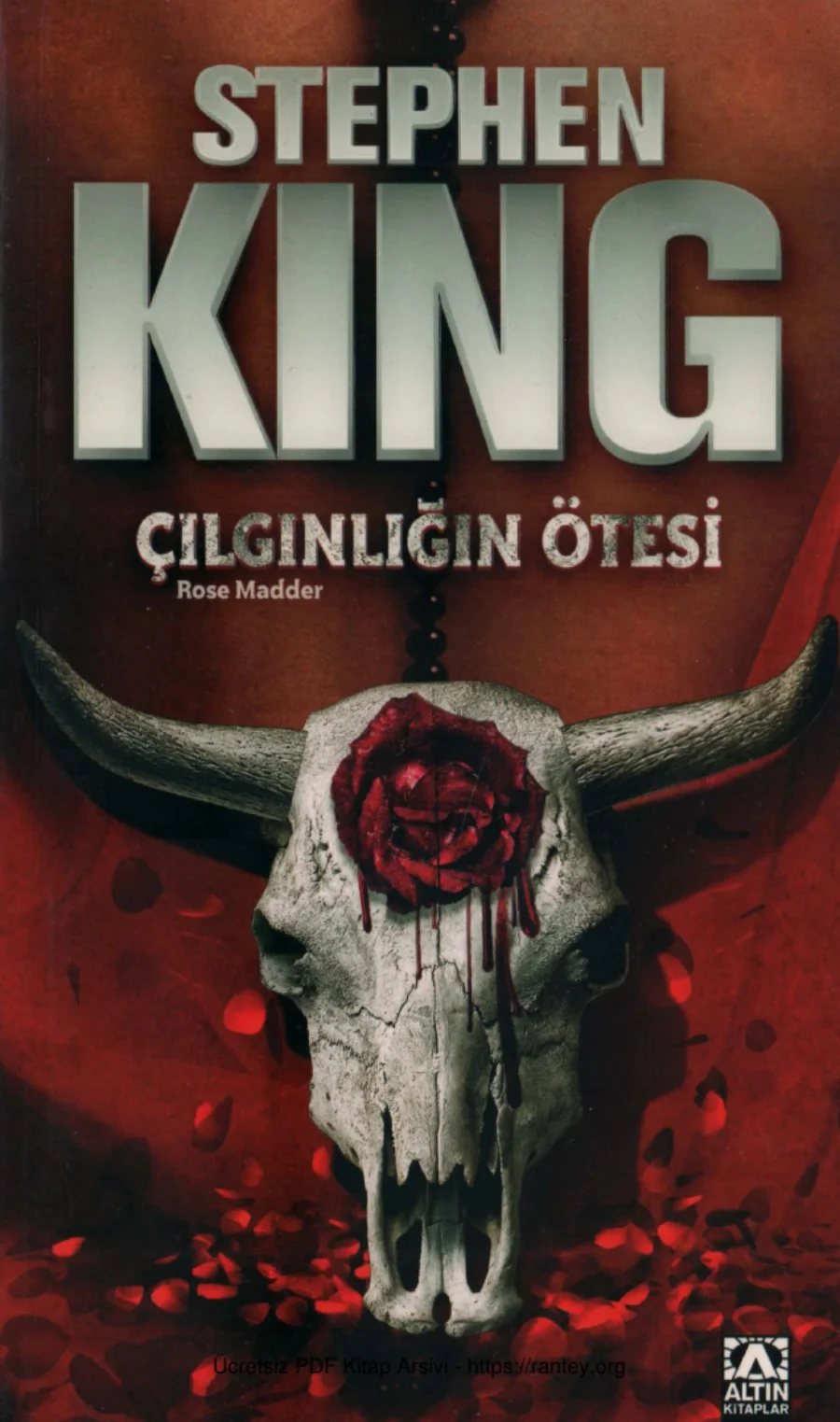 Çılgınlığın Ötesi kapak görseli
