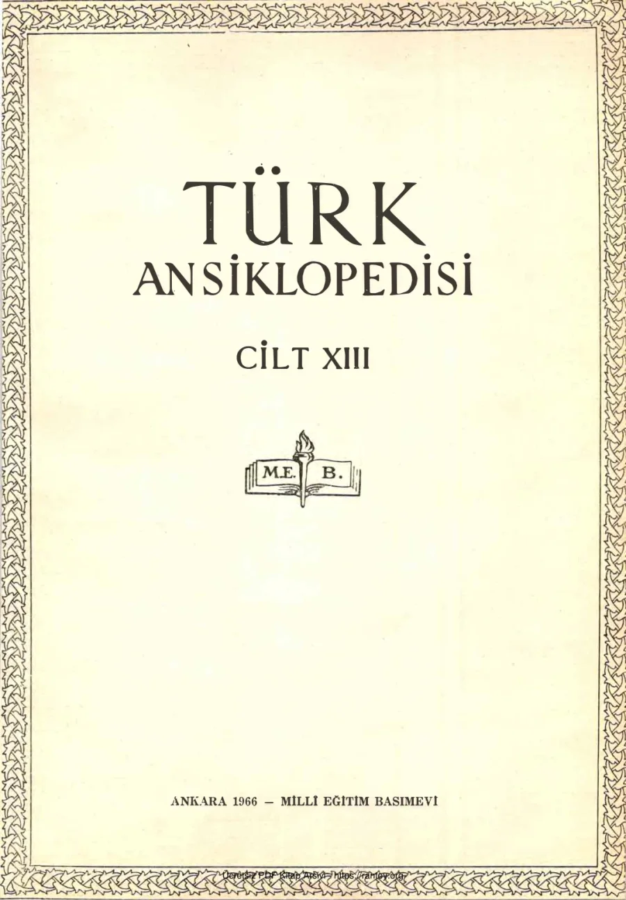 Cilt 13 kapak görseli