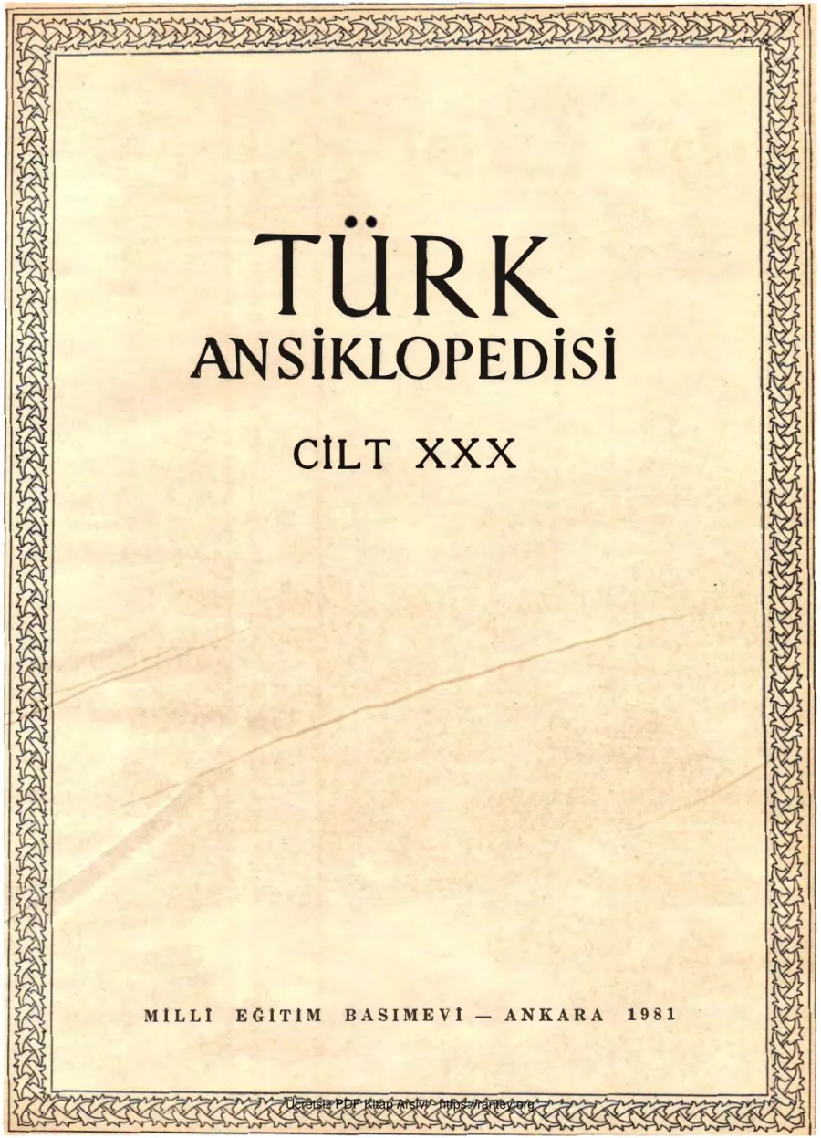 Cilt 30 kapak görseli