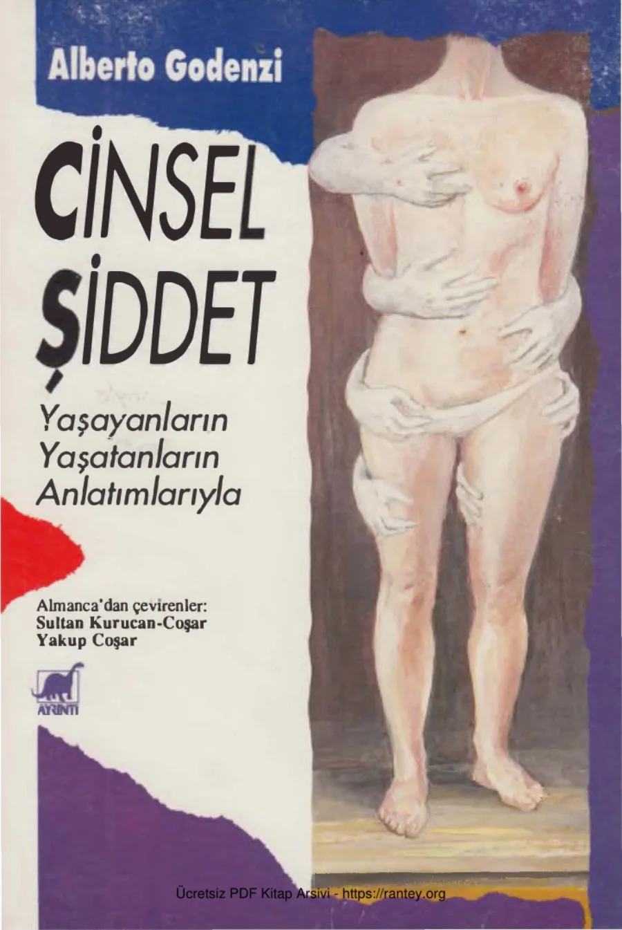 Cinsel Şiddet kapak görseli