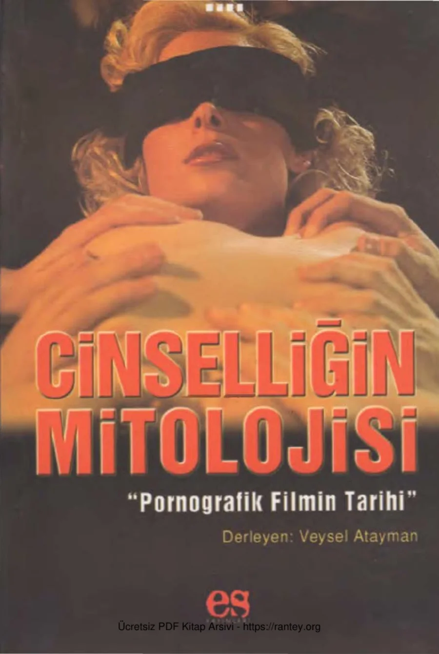 Cinselliğin Mitolojisi Pornografik Filmin Tarihi kapak görseli