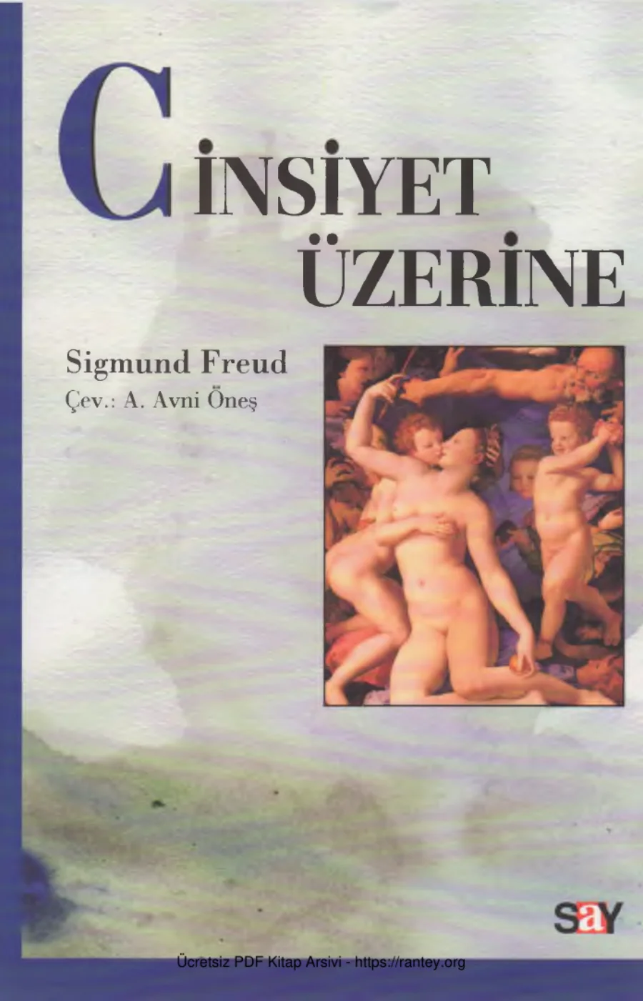 Cinsiyet Üzerine kapak görseli