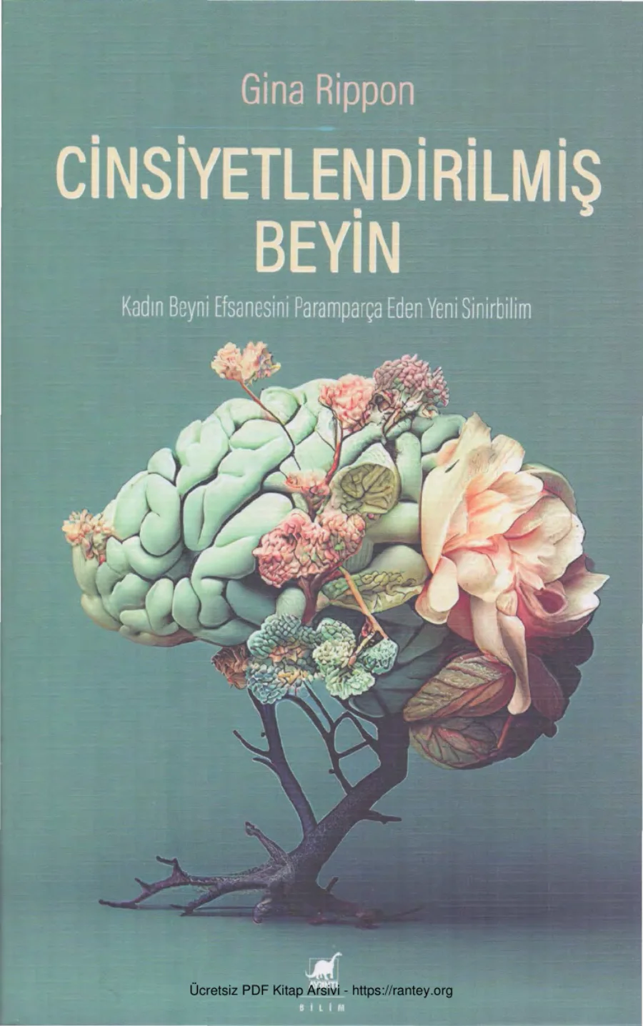 Cinsiyetlendirilmiş Beyin kapak görseli