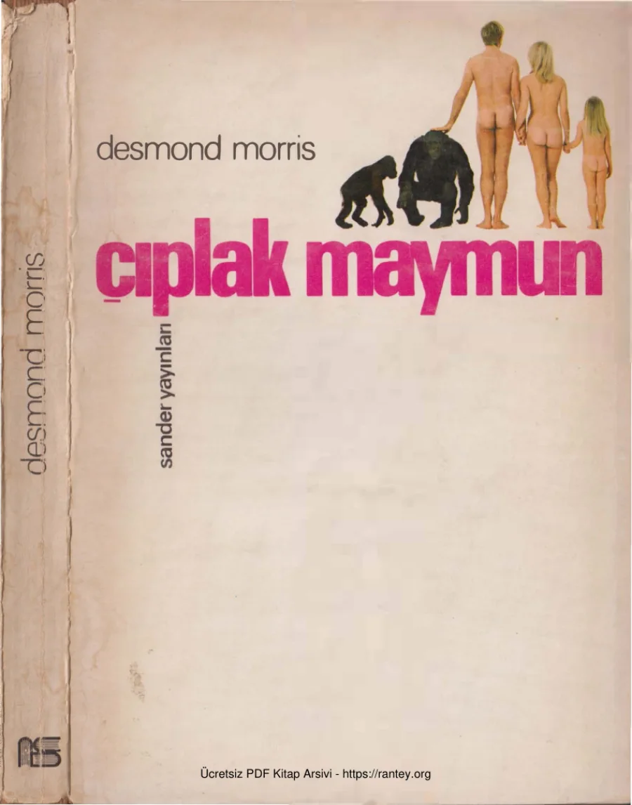 Çıplak Maymun kapak görseli