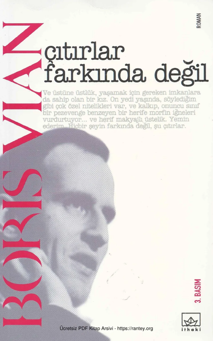 Çıtırlar Farkında Değil kapak görseli
