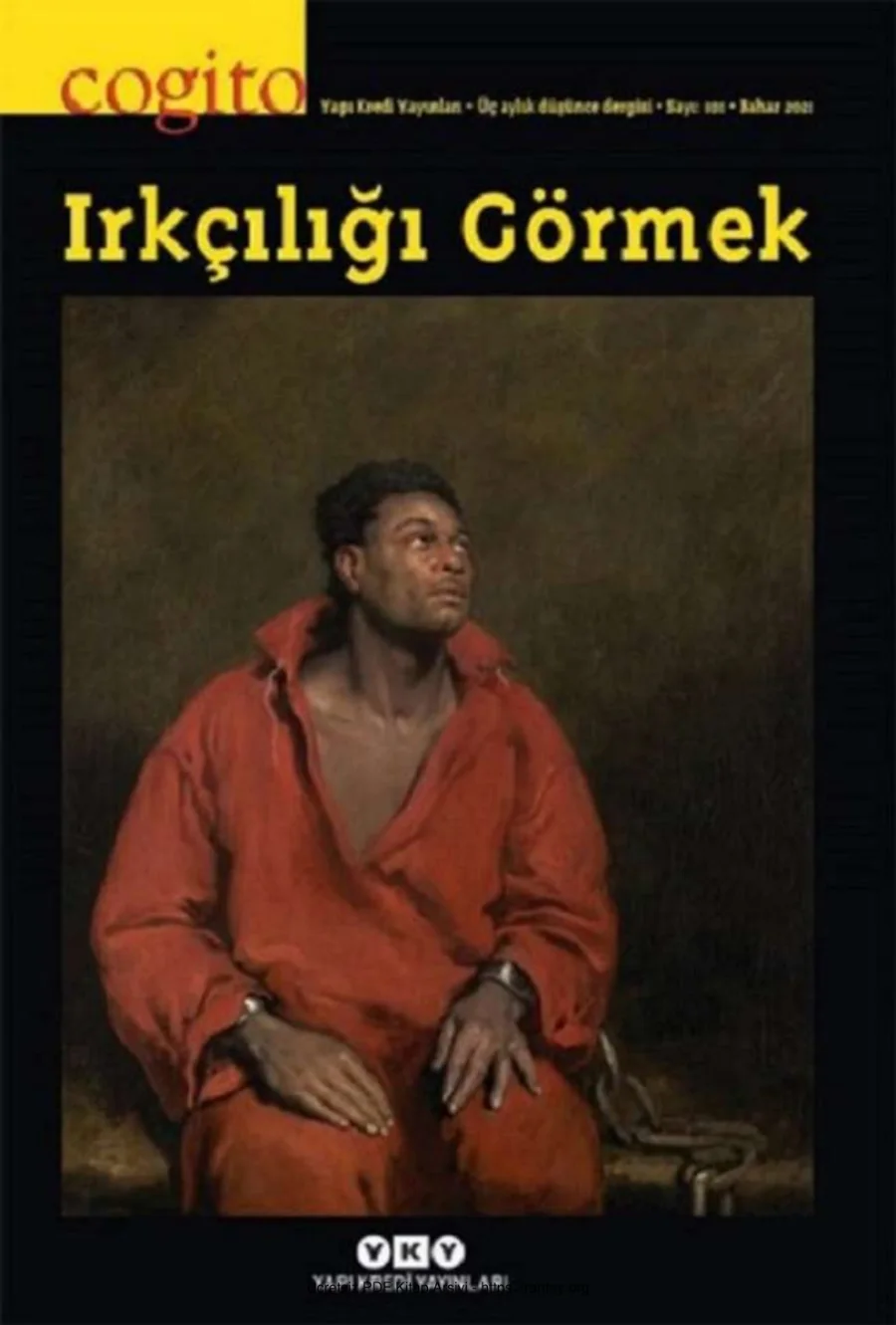 Cogito 101: Irkçılığı Görmek kapak görseli