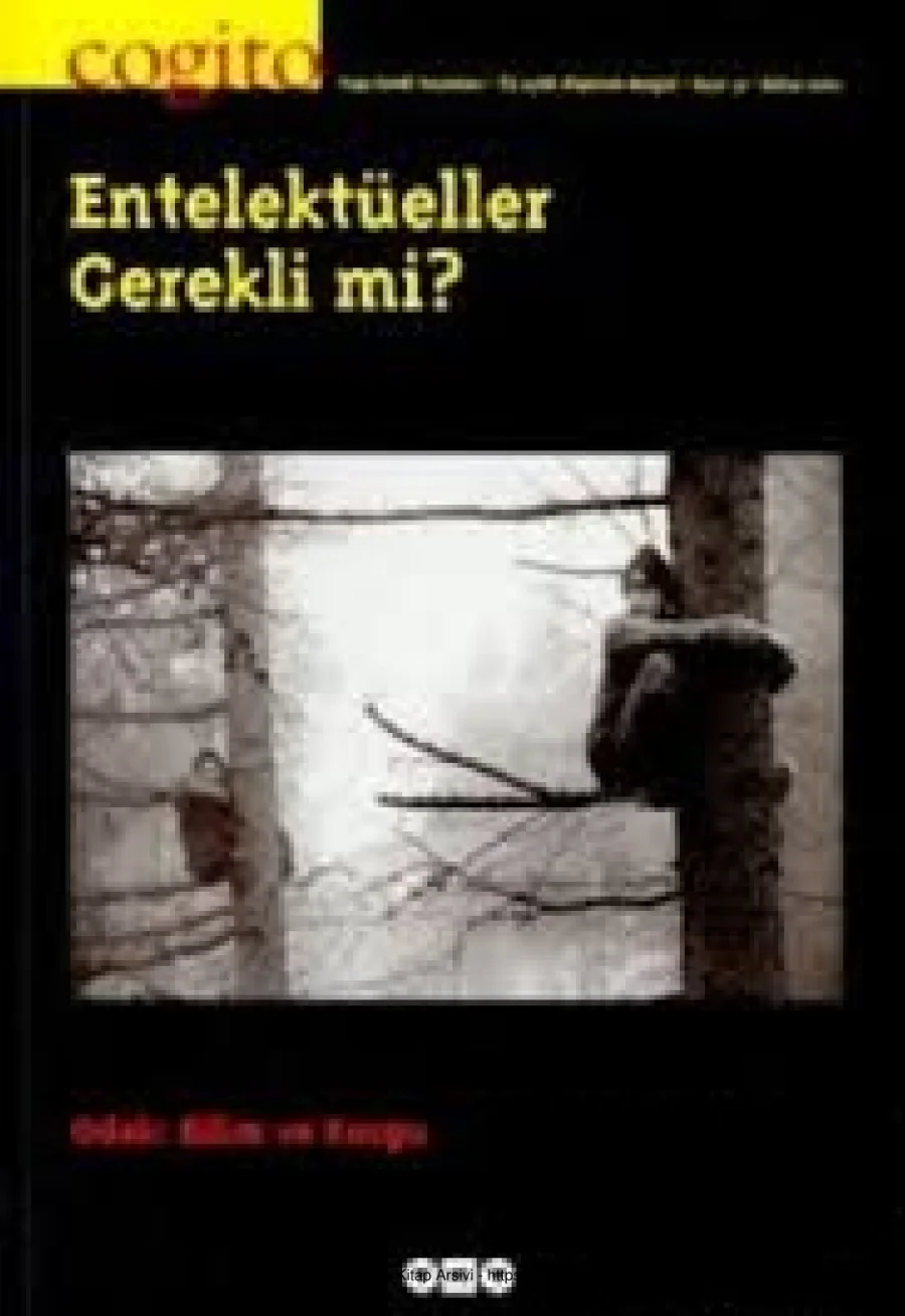 Cogito 31 kapak görseli