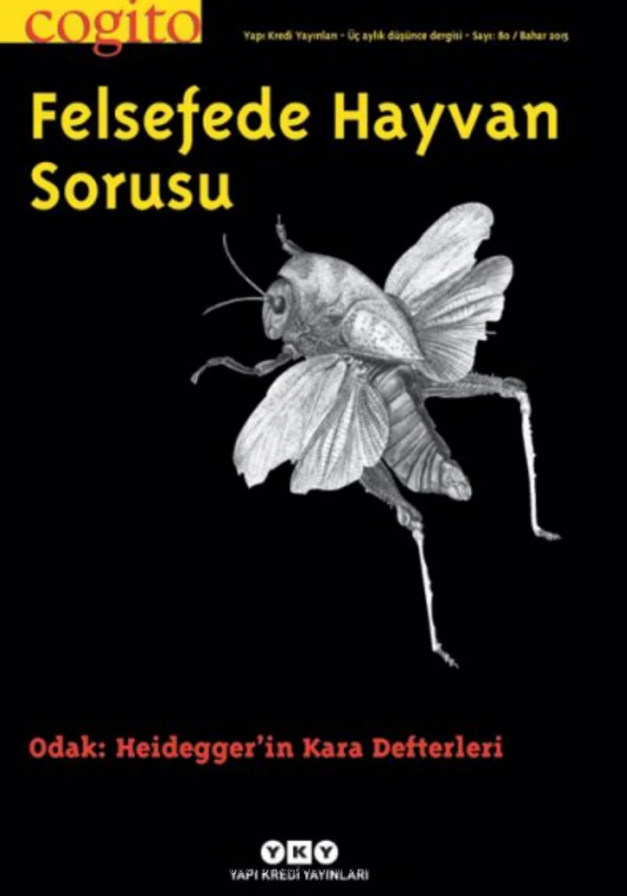 Cogito 80 kapak görseli