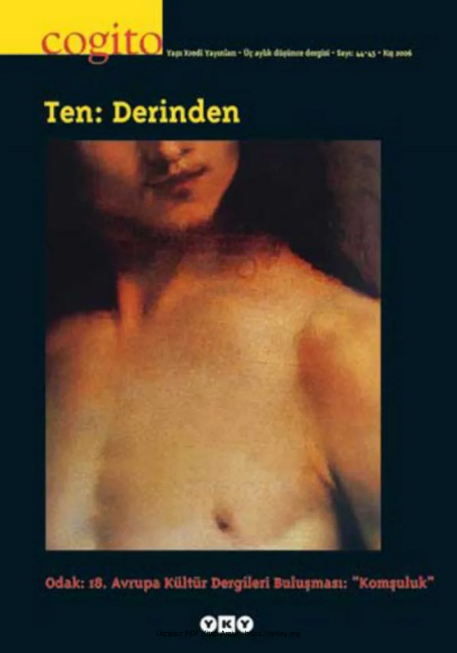 Cogito Sayı 044 045 Ten Derinden kapak görseli