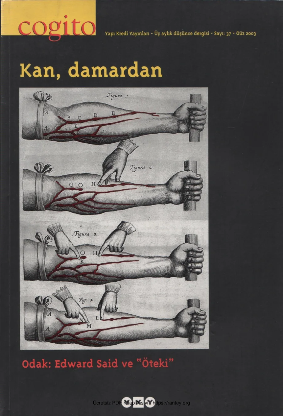 Cogito Sayı 37: Kan kapak görseli