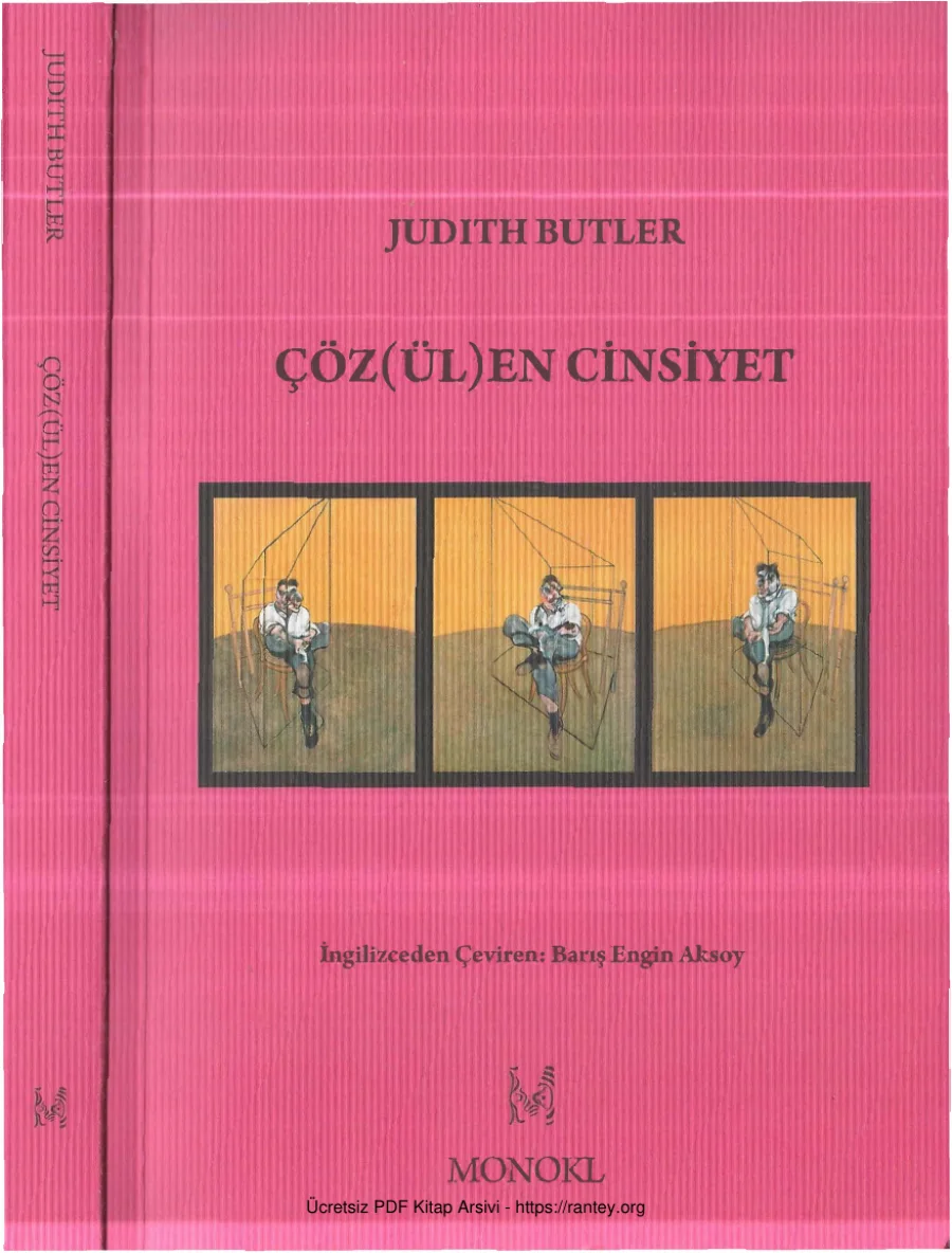 Çözülen Cinsiyet kapak görseli