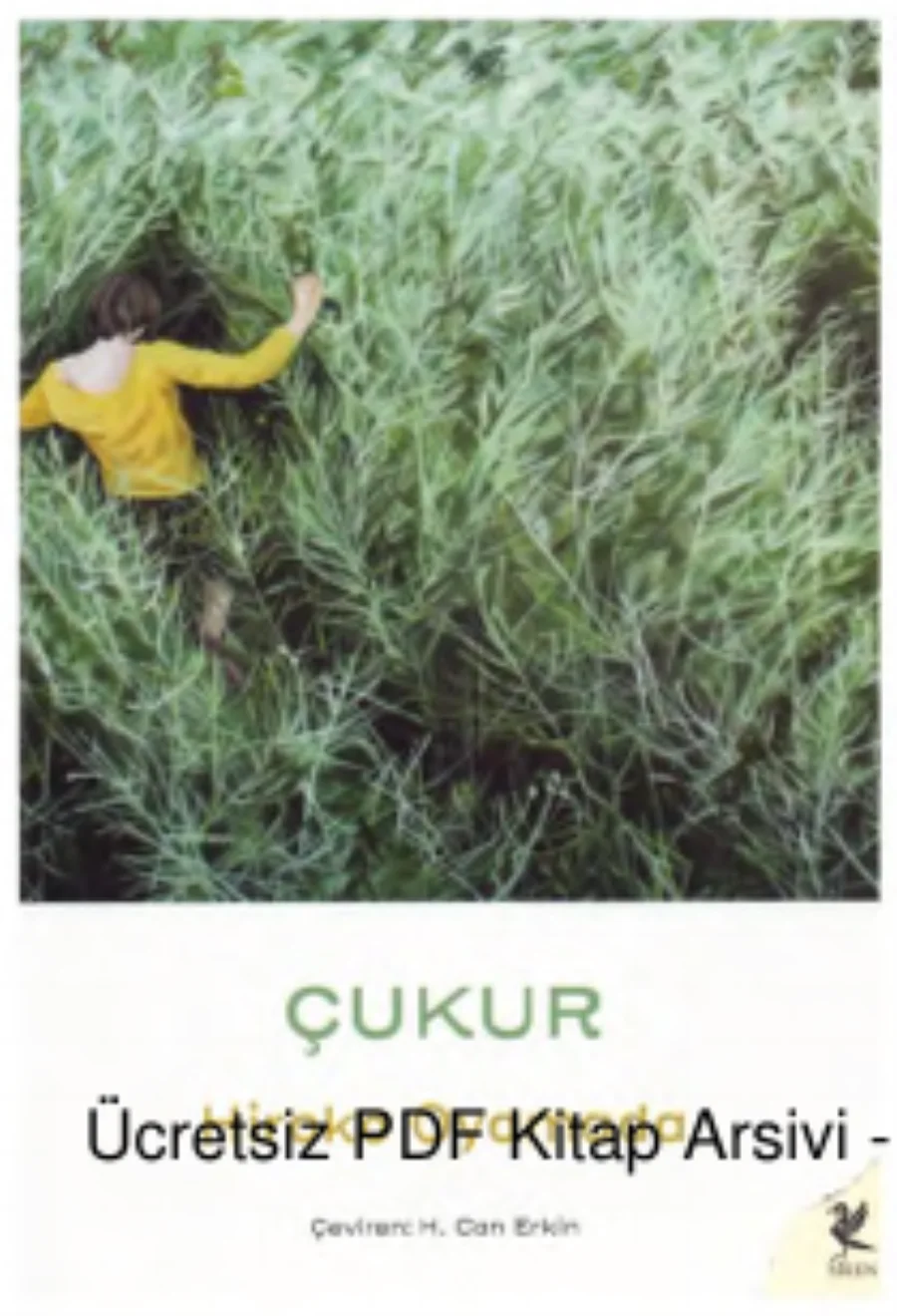Çukur kapak görseli