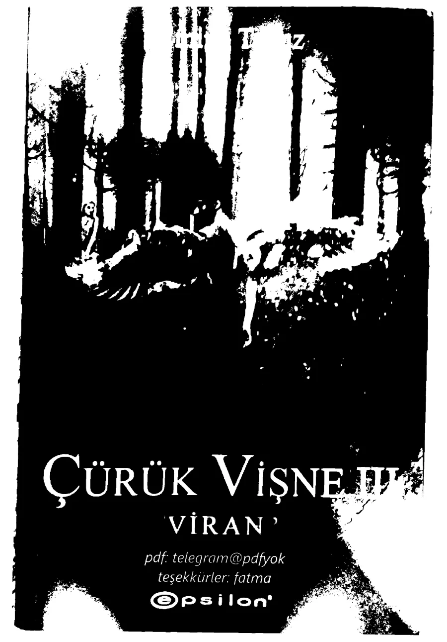 Çürük Vişne 3: Viran kapak görseli