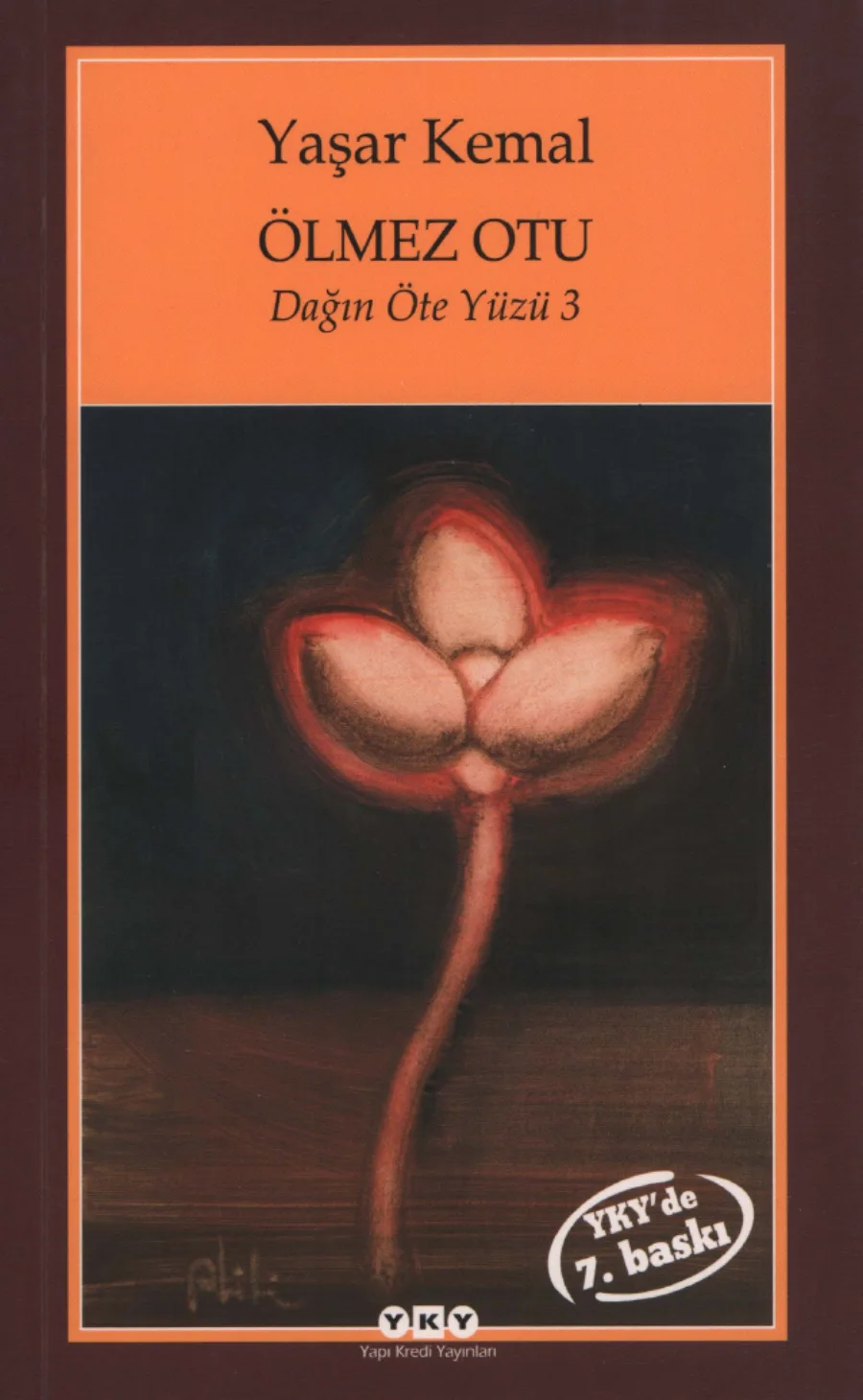 Dağın Öte Yüzü 3 Ölmez Otu kapak görseli
