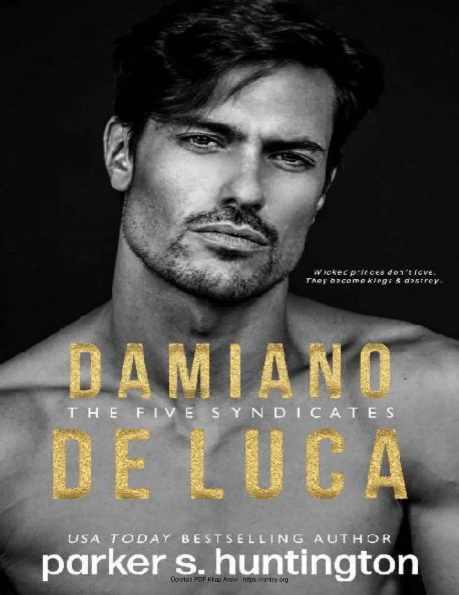 Damiano De Luca kapak görseli