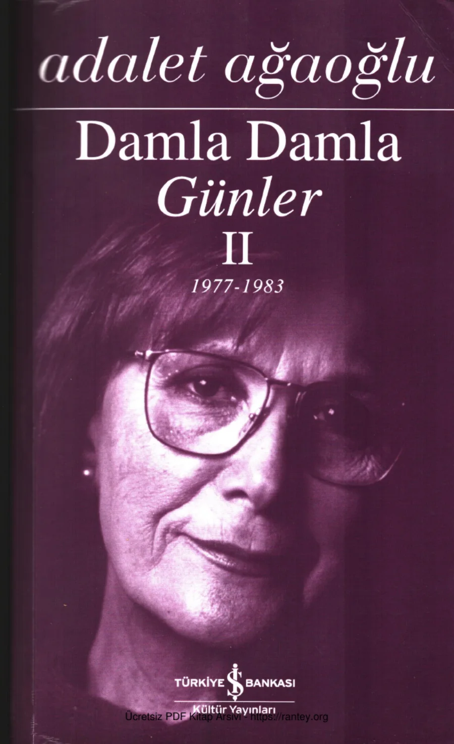 Damla Damla Günler II kapak görseli