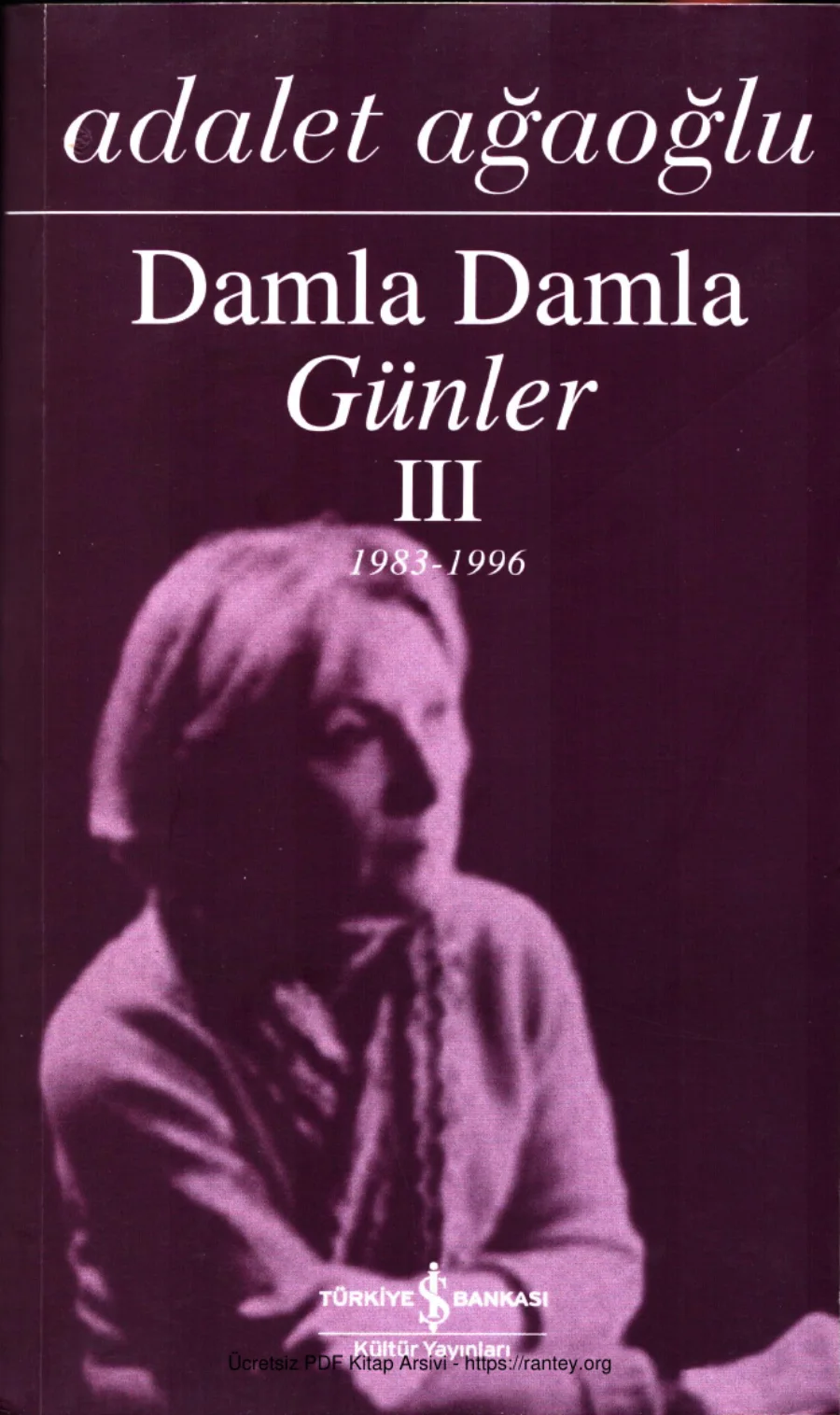 Damla Damla Günler III kapak görseli