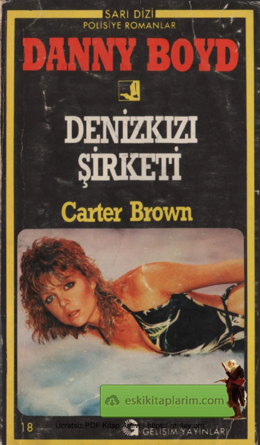 Danny Boyd Denizkızı Şirketi Gelişim Yayınları kapak görseli