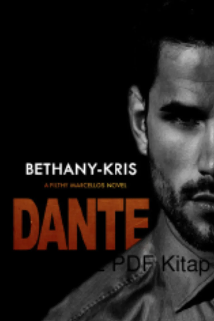 Dante kapak görseli
